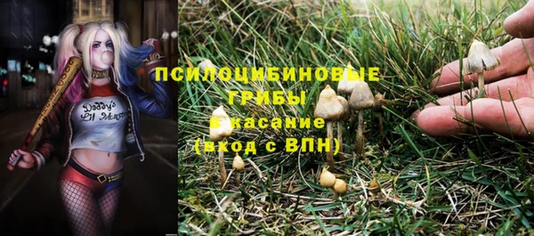 соль курить ск Арсеньев