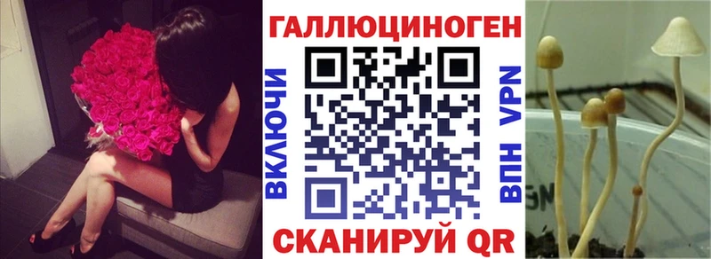 Псилоцибиновые грибы MAGIC MUSHROOMS даркнет сайт Павловск